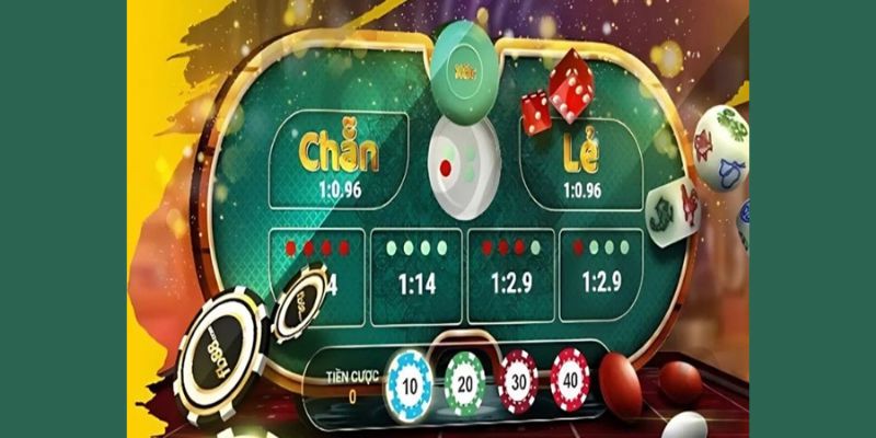Những lỗi người mới thường mắc phải